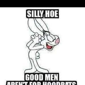 Meet your Posher, Shane